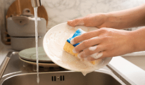 ฟองน้ำล้างจาน