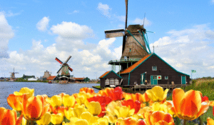 ประเทศต้นแบบ