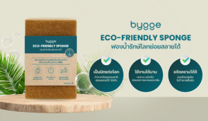 ฟองน้ำล้างจาน