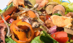 ขยะอาหาร